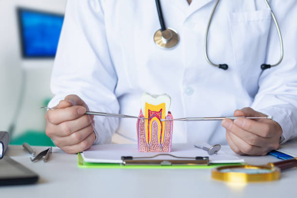 Best Orthodontic Emergency Dentist in Dickinson, TX